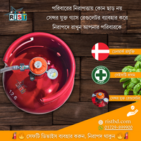 আইজিটি গ্যাশ রেগুলেটর